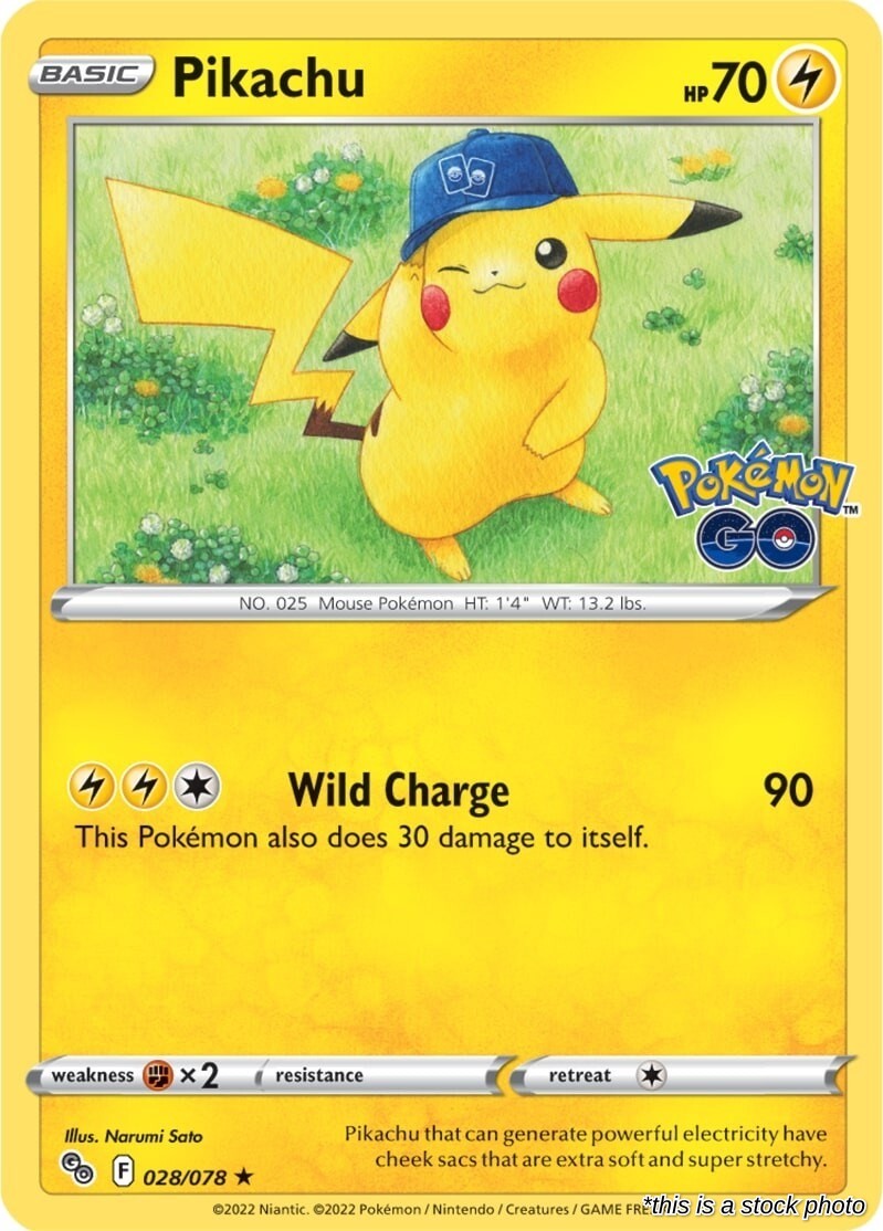 Pikachu (28)
