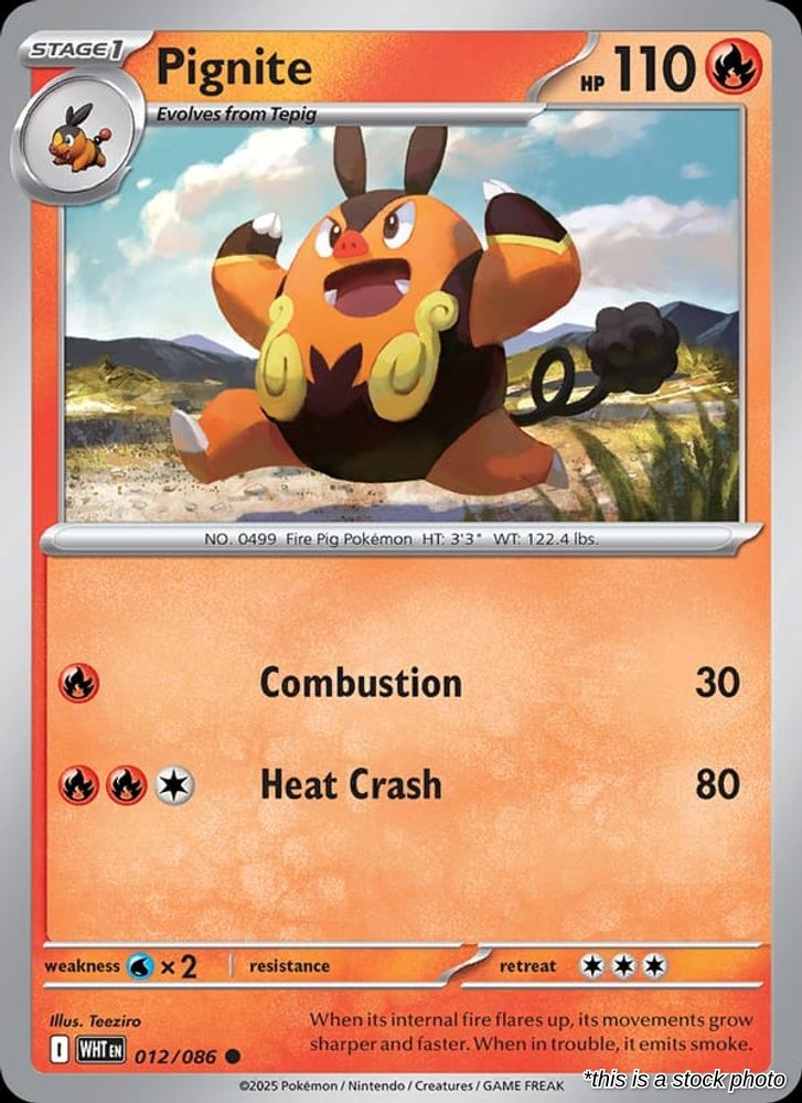 Pignite (Master Ball Pattern)