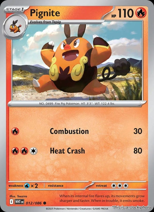 Pignite (Master Ball Pattern)